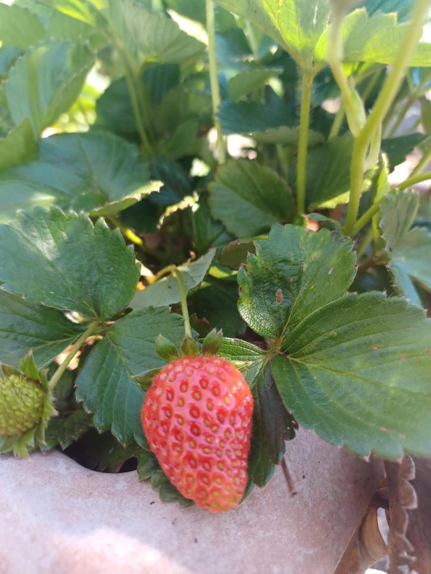 לה אורוטבה Finca De Luna מראה חיצוני תמונה