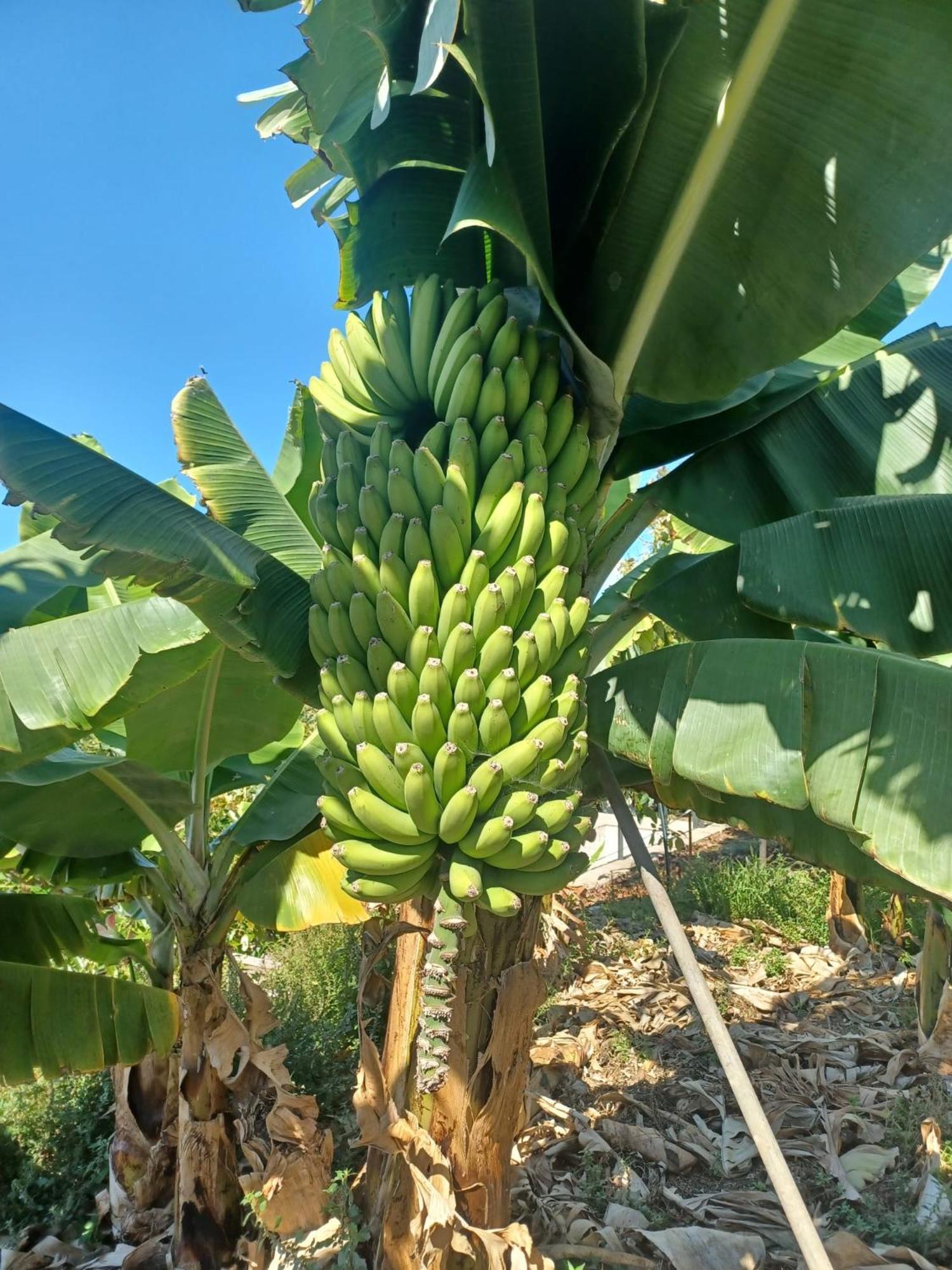 לה אורוטבה Finca De Luna מראה חיצוני תמונה