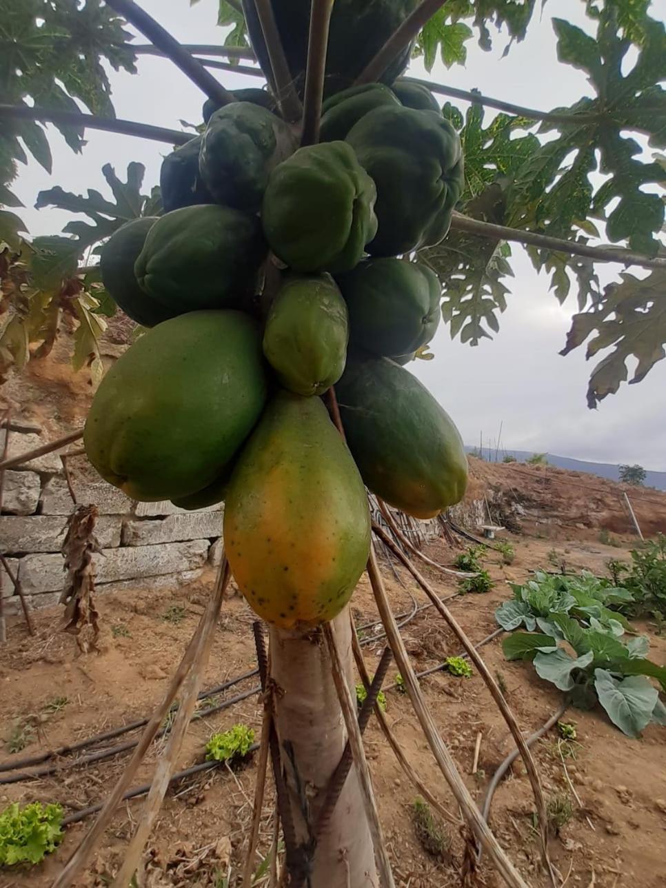 לה אורוטבה Finca De Luna מראה חיצוני תמונה