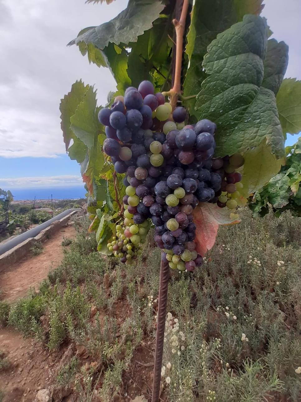 לה אורוטבה Finca De Luna מראה חיצוני תמונה