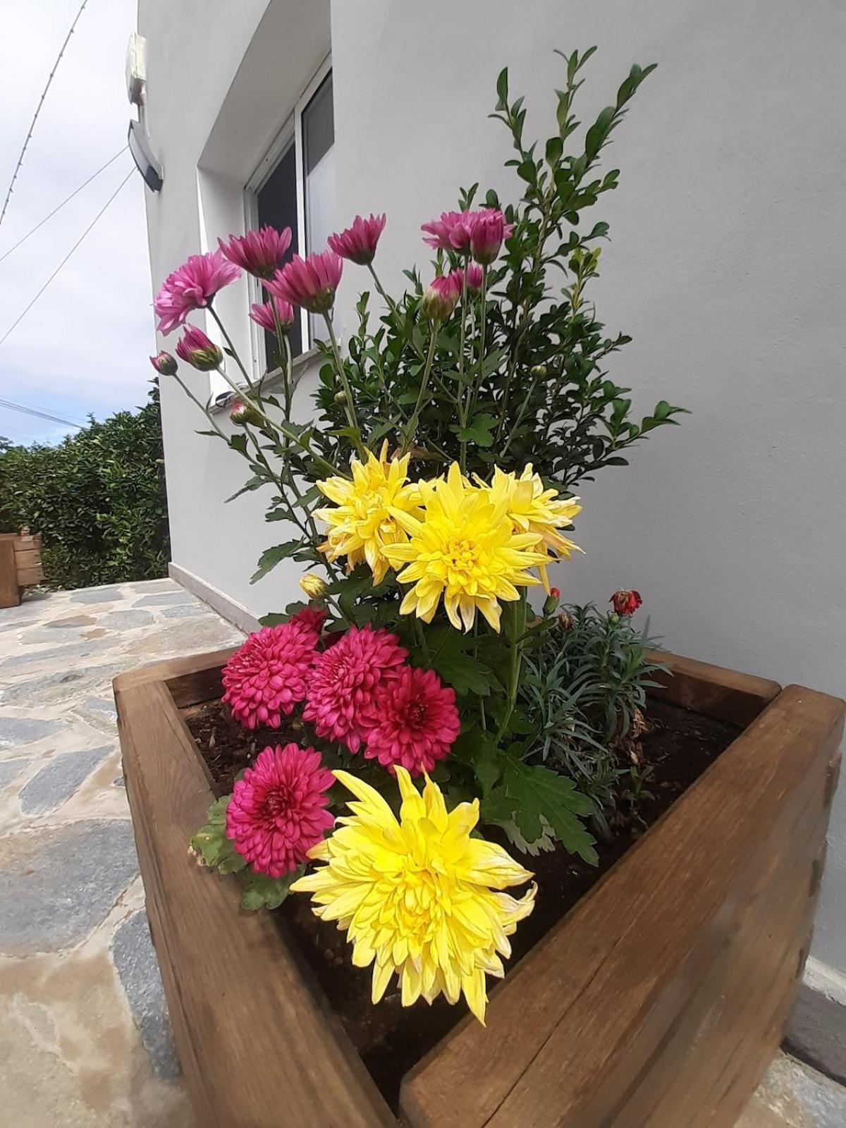 לה אורוטבה Finca De Luna מראה חיצוני תמונה