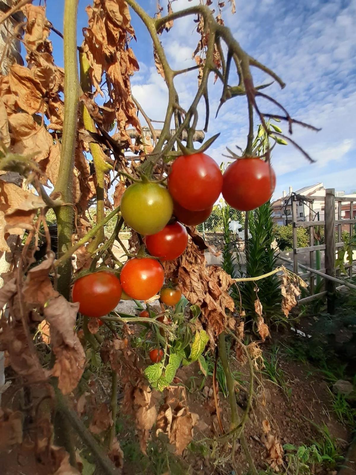 לה אורוטבה Finca De Luna מראה חיצוני תמונה